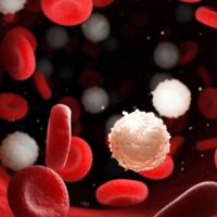 Leukemia: Simptom, Gejala, Penyebab, Rawatan