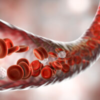 【白血球】有什么功能？过低或过高症状有哪些？